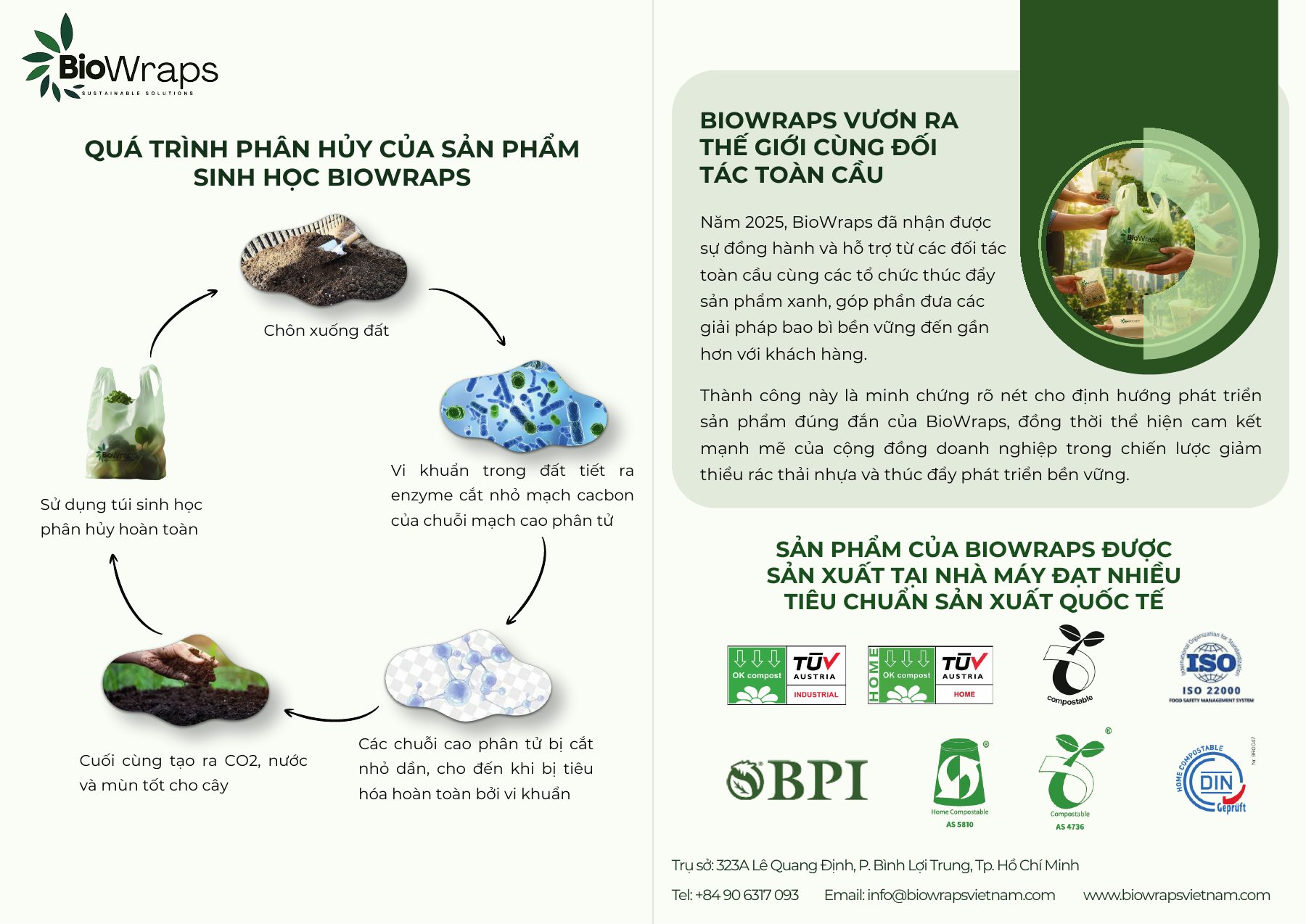 Nửa trái của trang 8